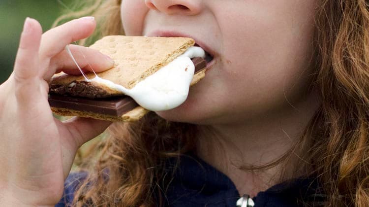 Microwave S'mores Maker